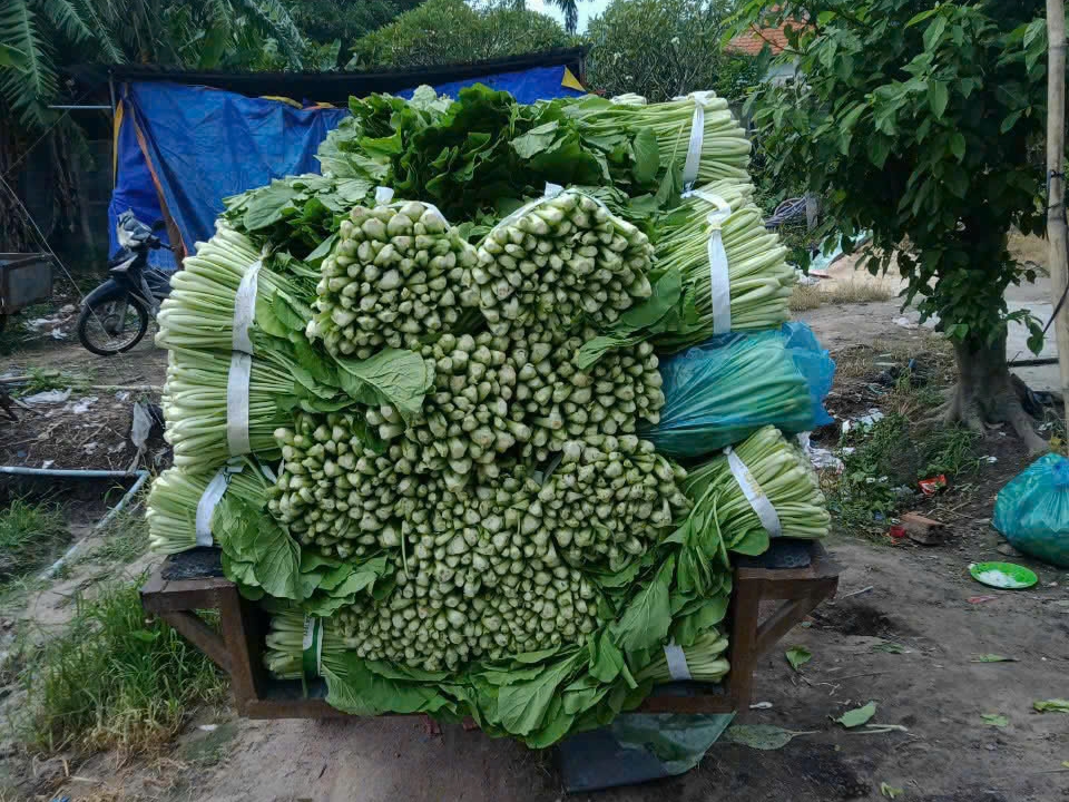 CÔNG TY TNHH THỰC PHẨM HAPPY FARM